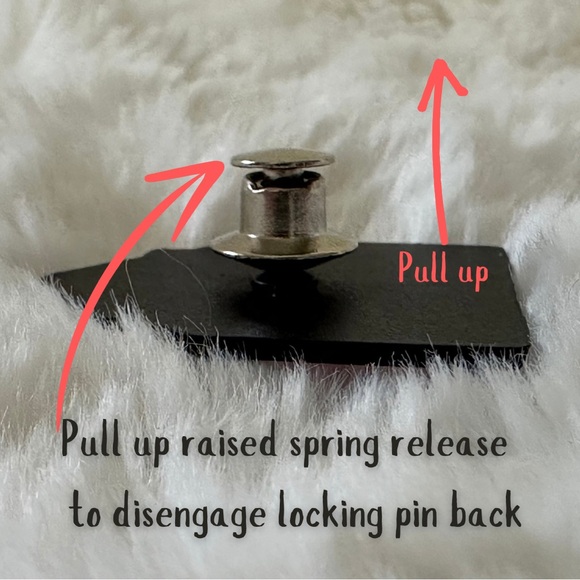 🐂“Died of Dysentery” Vintage OG Oregon Trail Enamel Pin - Picture 7 of 8